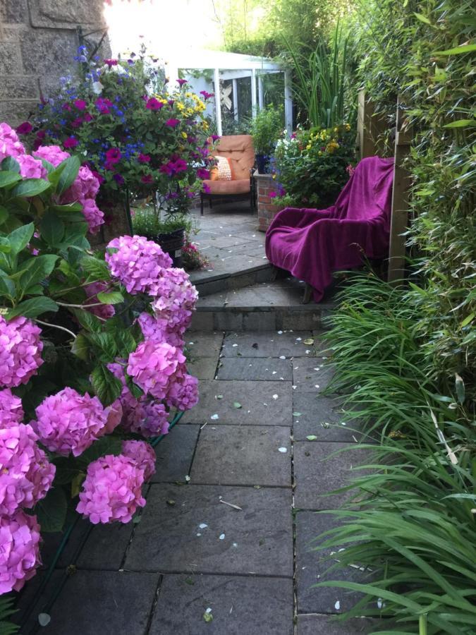 Penzance Seaside Studios 外观 照片